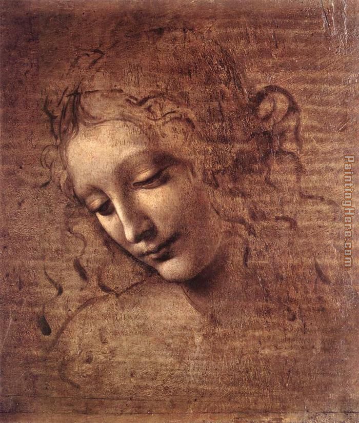 The Lady of the Dishevelled Hair painting - Leonardo da Vinci The Lady of the Dishevelled Hair art painting